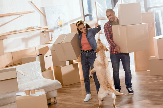 african american couple holding cardboard boxes and playing with labrador dog in new apartment