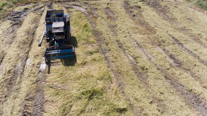High angle view, the car is harvested in the field.