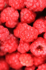 red raspberries texture