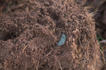 Closeup of antique dirty coin that was find deep in soil with help of metal detector.