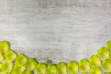 Valentine's background with green petals