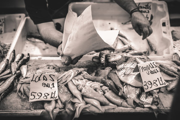 Details of the fish market of Cadiz, one of the best of Spain and Europe. © DiegoRussoPh