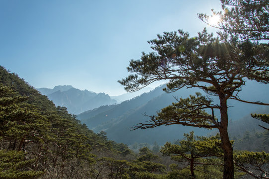 Panoramic and idyllic nature of South Korea, Seoraksan National Park, Pyeongchang