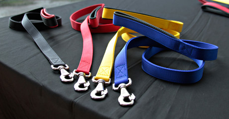 Pet supplies about leash for dog and silver hook on black background. - obrazy, fototapety, plakaty