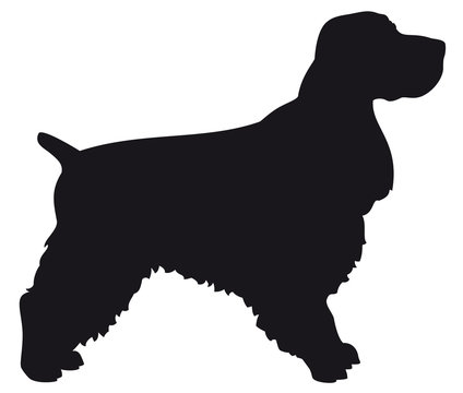 Silhouette Spaniel Images – Browse 2,597 Stock Photos, Vectors, and Video |  Adobe Stock
