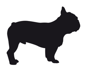 French Bulldog - Vector black dog silhouette isolated