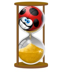 Obraz premium coccinella clessidra