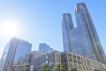 Obraz premium Tokio Wielkomiejskiego rzędu biura 1st Główny budynek i Tokio Wielkomiejski Capitol budynek w jesieni Pogodnej