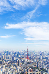 Fototapeta premium Tokyo Tower i centrum miasta