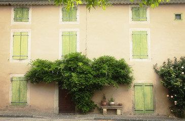 Fototapeta na wymiar Beautiful warm brown country facade with green shutters and exterior foliage part covering doorway, village in the South of France
