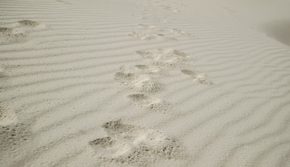 White sand