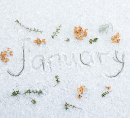 flat lay on the snow -  January with hydrangea flowers, rose mary and thymus