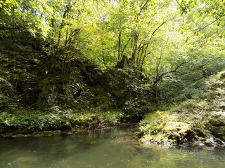 V&eacute;g&eacute;tation