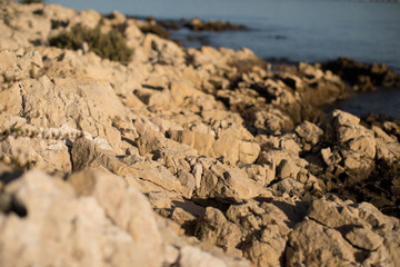 the yellow rocks on the sea beach 