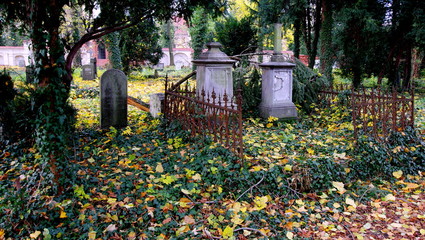 Stary, zabytkowy przykościelny cmentarz we Świdnicy