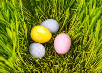 Fototapeta na wymiar Easter eggs in green grass
