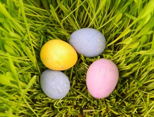 Easter eggs in green grass