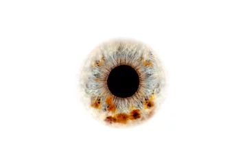 Foto op Plexiglas menselijk oog close-up © Nikola Spasenoski