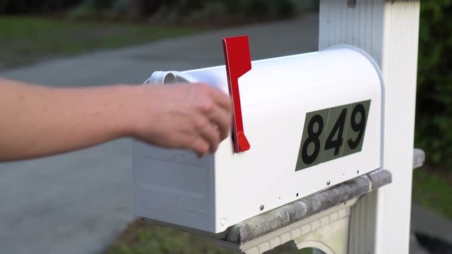 Checking the Mail