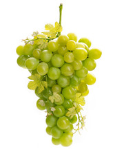 Trauben weiss