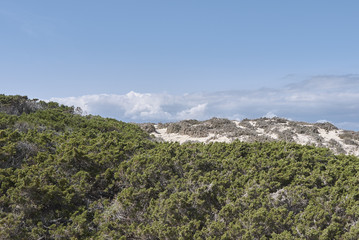Fototapeta na wymiar Wildlife reserve in Formentera island 