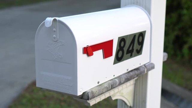 Checking the Mail