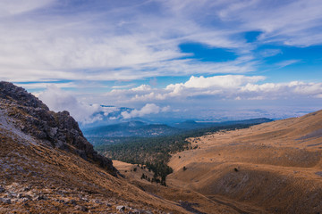 Panoramic of the valley and woods