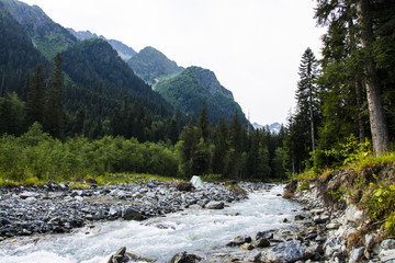 Fototapeta na wymiar Stormy mountain river. Mountain green valley. Caucasus.