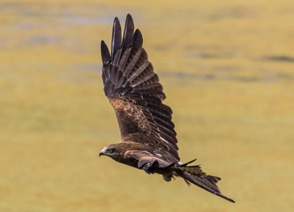 LEH, JAMMU & KASHMIR - INDIA - along the Indus Valley, right at the border with Pakistan and China, between monasteries, rivers, lakes, and blue skies