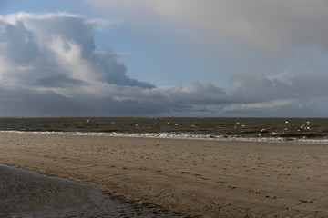 Am Strand von Amrum