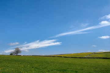 Blue Sky over Monsal Dale