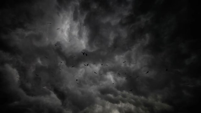 Storm Clouds With Flock Of Eagles Wide Angle