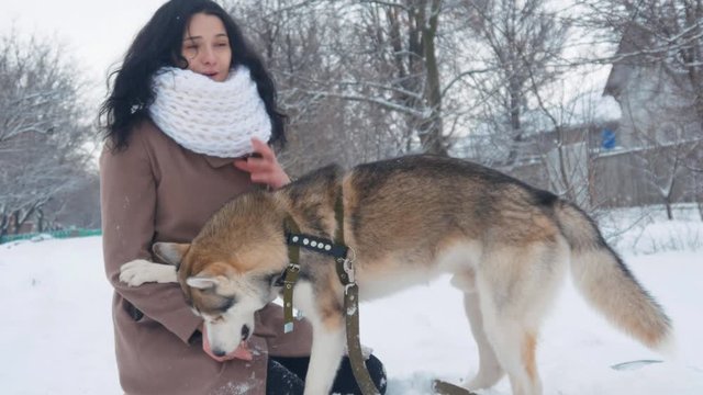 young woman playing with a husky dog in winter in a snowy garden