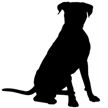 Boxer Dog Silhouette Vector Graphics