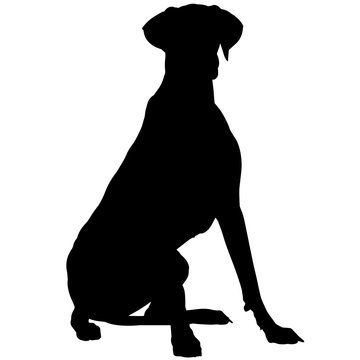 Great Dane Outline Images – Browse 668 Stock Photos, Vectors, and Video |  Adobe Stock