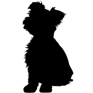 Yorkshire Terrier Dog Silhouette Vector Graphics