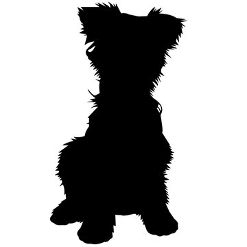 recommend clip art: Yorkshire Terrier Dog Silhouette Vector Graphics