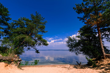 Obraz premium sandy beach with trees growing on shore against blue sky and water during summer vacation