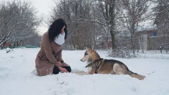 young woman playing with a husky dog in winter in a snowy garden
