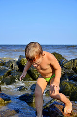 Beautiful view of rocky coast on Gotland, island in the Baltic Sea in Sweden. Little boy with light blonde hair standing on stone, looking at dog. Dog carrying stick, going out of water on stone beach