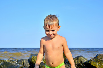 Beautiful view of rocky coast on Gotland, island in the Baltic Sea in Sweden. Little boy with light blonde hair standing on stone, looking at dog. Dog carrying stick, going out of water on stone beach