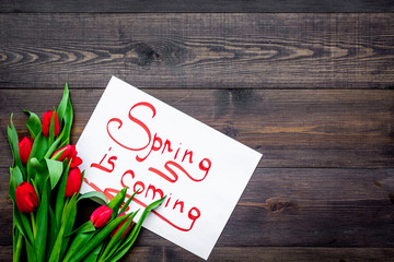 First spring flowers. Red tulips near Spring is coming lettering on dark wooden background top view copy space