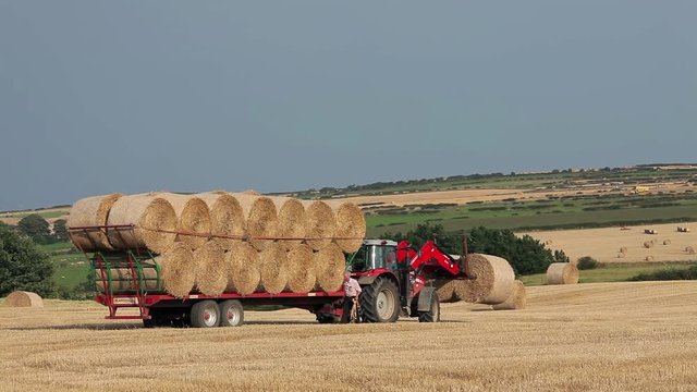 Red Tractor & Trailer With Straw; Harvesting Straw Bales; A174, North Yorkshire, England