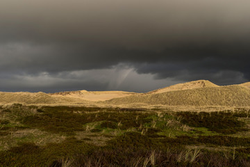 Dünen am Strand von Amrum