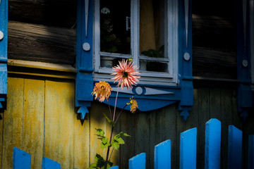 window of old wooden house