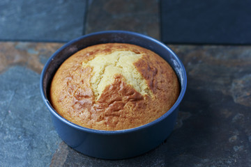 Homemade Vanilla Cake in a pan