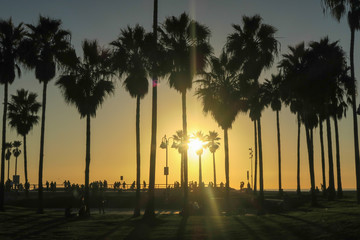 California Sunset