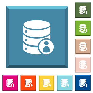 Database Privileges White Icons On Edged Square Buttons