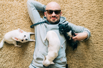 Happy smiling bald man in sunglasses lying at home on carpet with three little chihuahua puppies. Family together again. Lovely dogs playing and resting. Vintage male portrait with adorable pets.