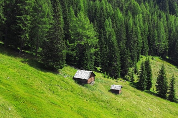 Fototapeta na wymiar Alm, Südtirol, Italien